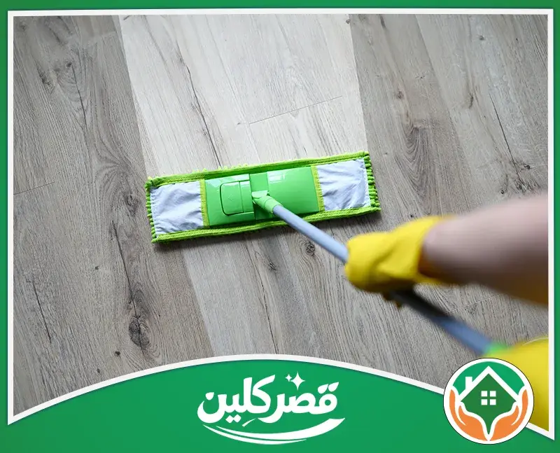القضاء على الحشرات في المطبخ - قبل المكافحة